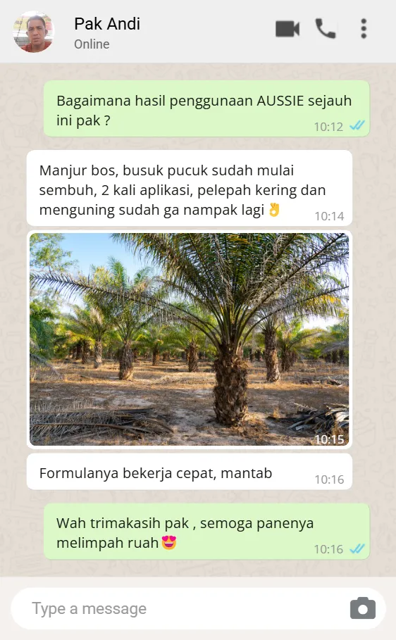 Bukti WA 3