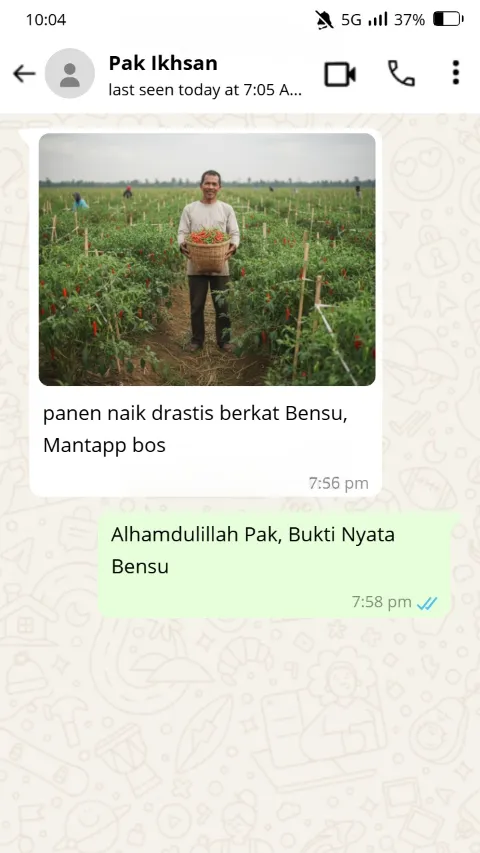 Testimoni WhatsApp Panen
