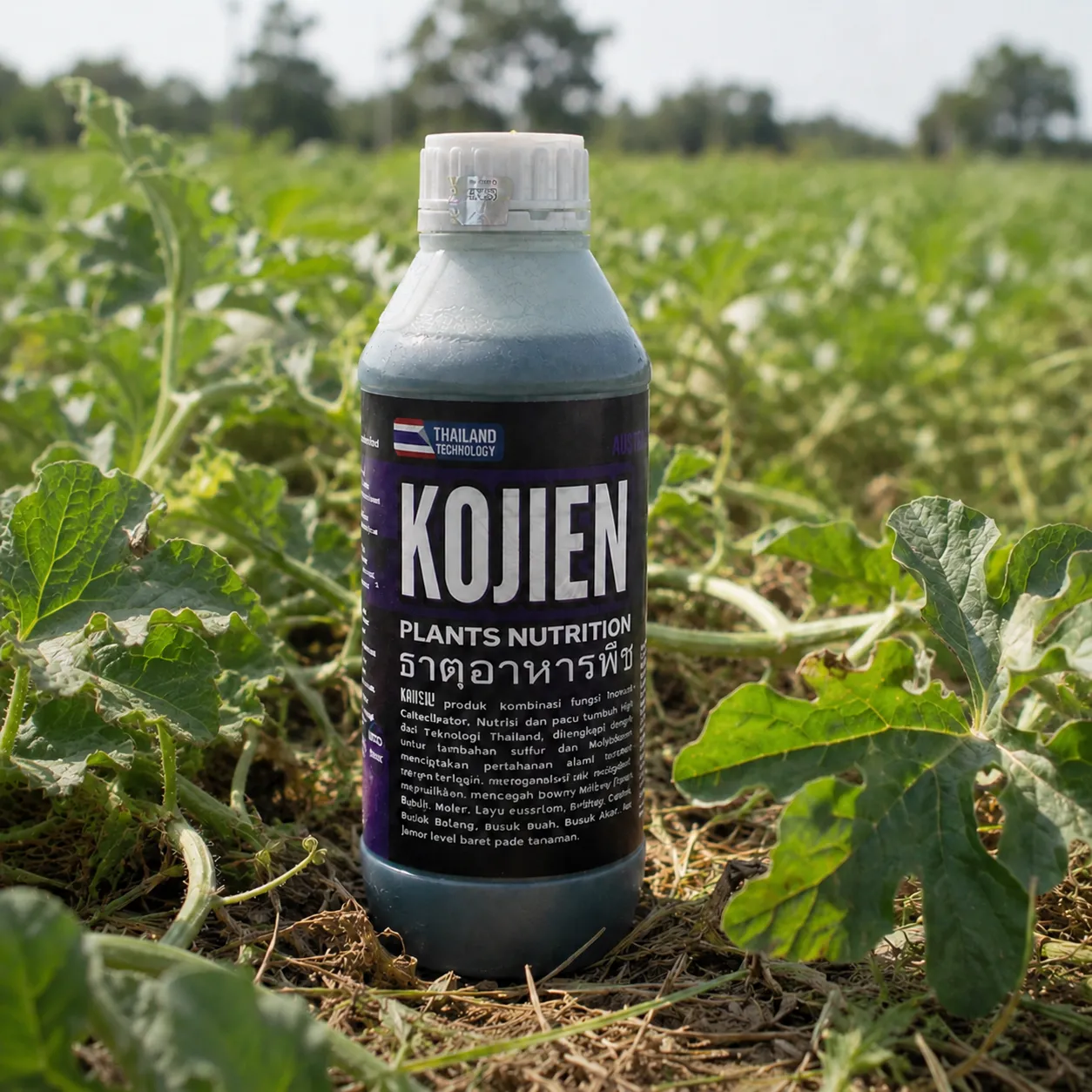 Foto botol produk KOJIEN berdiri tegak di tengah ladang semangka dan melon.